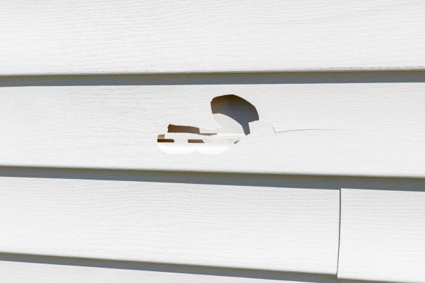 Best Brick Veneer Siding  in Tanglewilde, WA